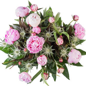 Bloemen –  Pioenrozen (Groot)