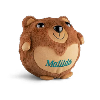 Teddybjörn med namn - Uppblåsbar 