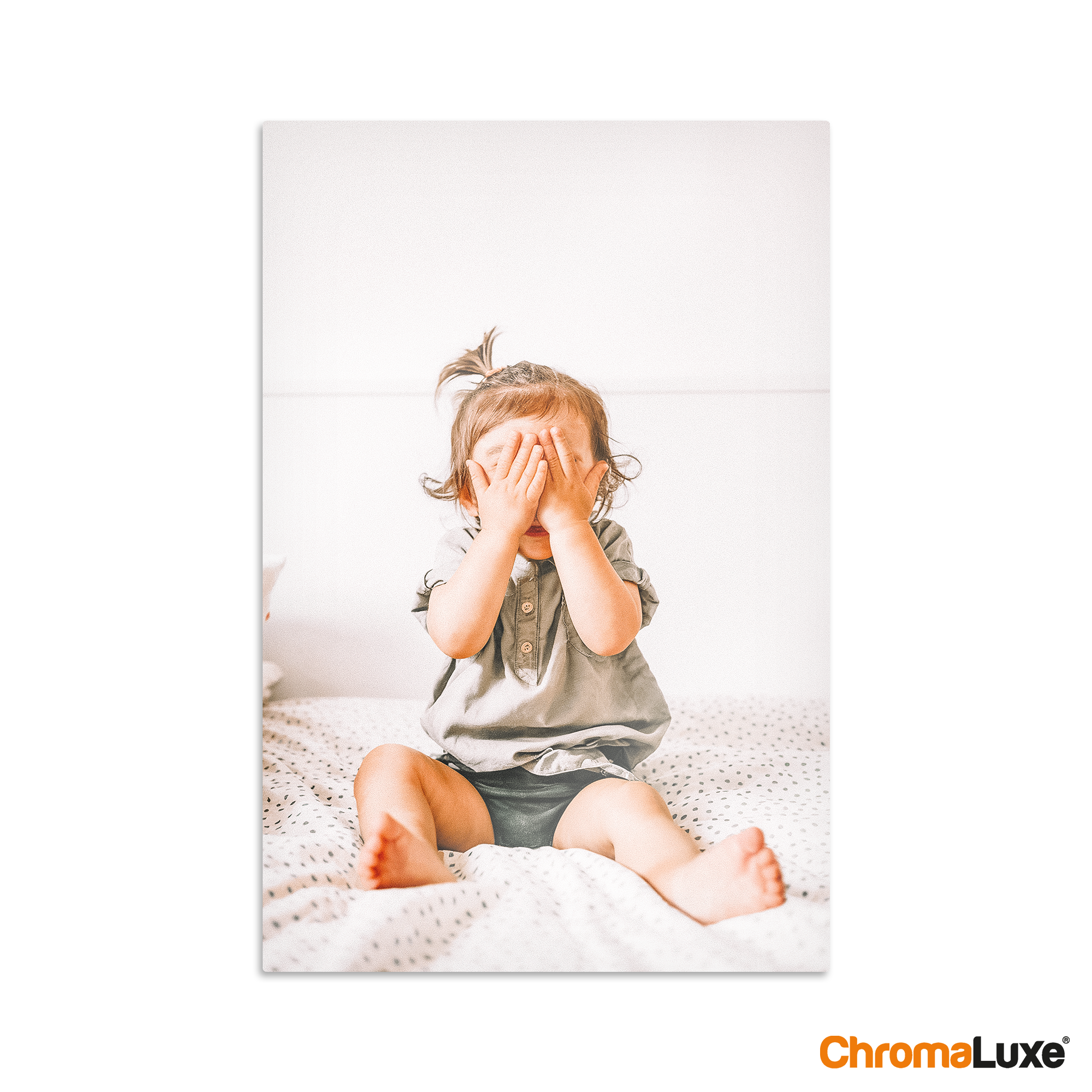 Panou foto din aluminiu