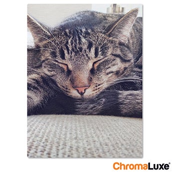 Chromaluxe Aluminium photo - Brushed - 30x60cm