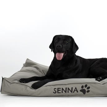 Dog bed with name - M - Taupe