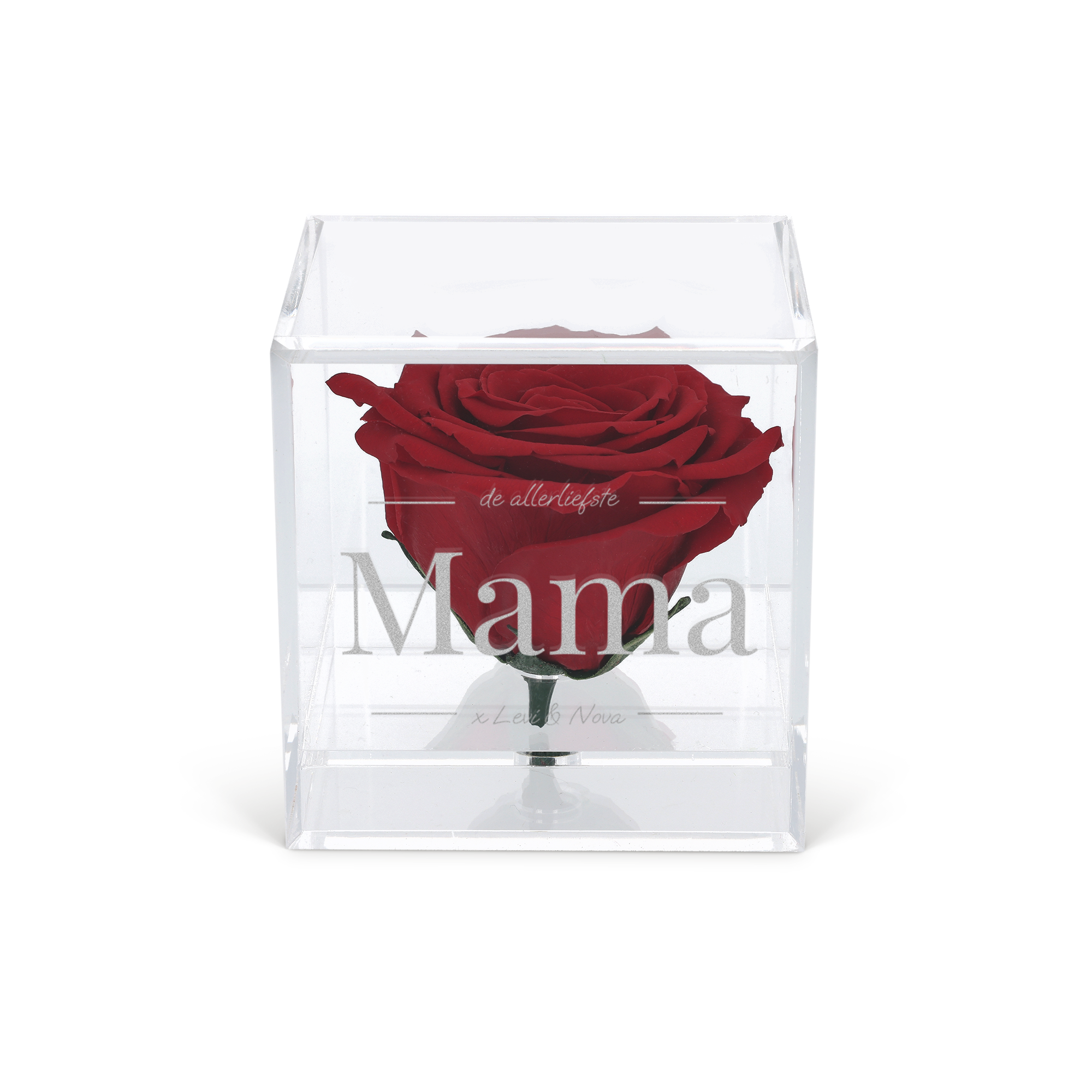 Preserved rose in glas (plexi)