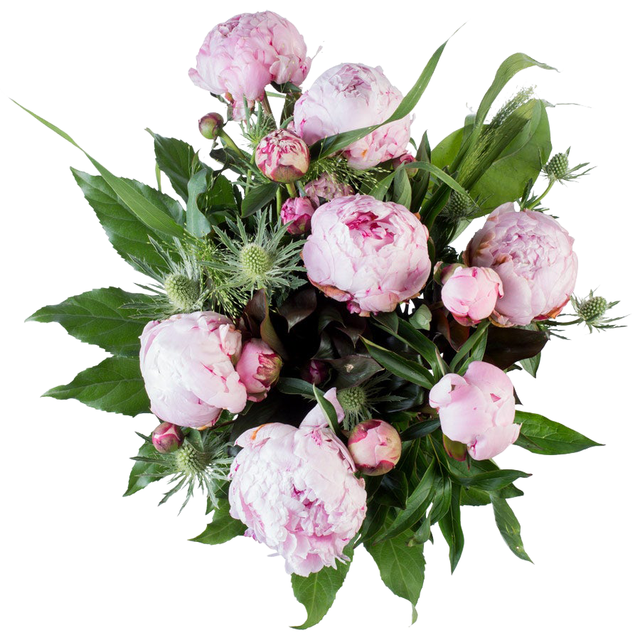 Bloemen –  Boeket Pioenrozen (Middel)