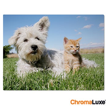 Chromaluxe Aluminium photo - White - 15x10 cm