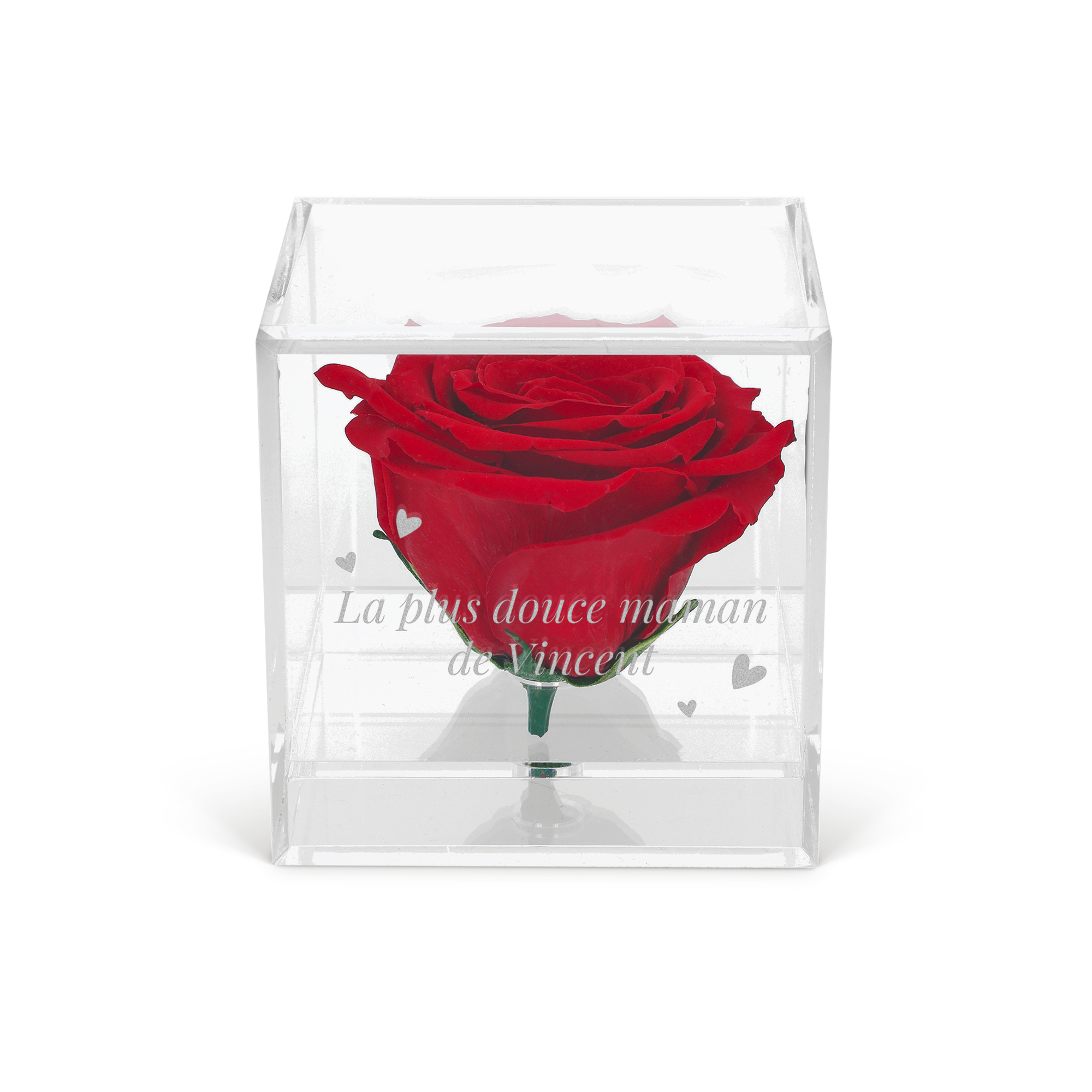 Preserved Rose dans un cube gravé (plexiglas)