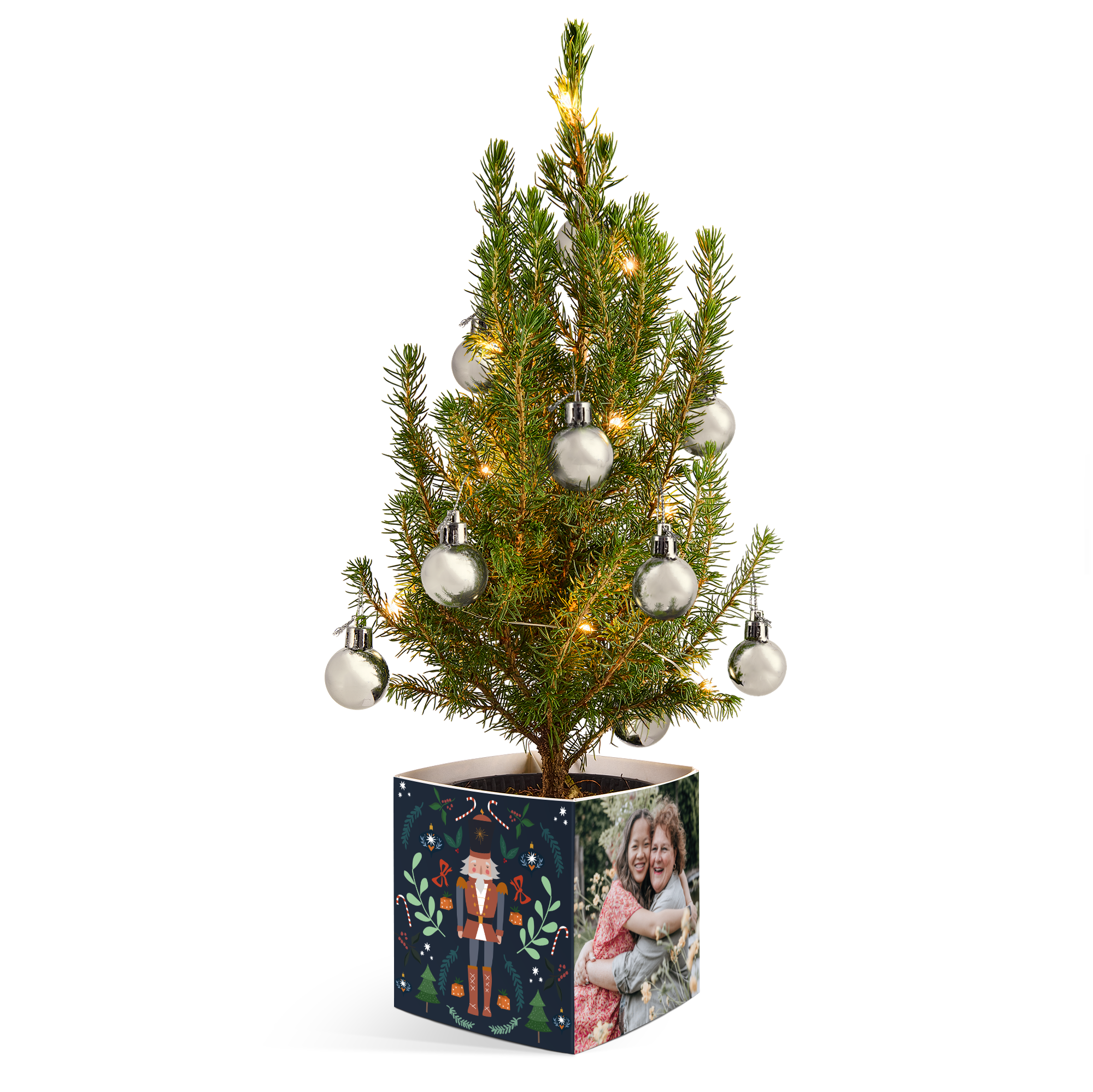 Mini božično drevo v personaliziranem lončku