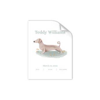 Personalised baby poster