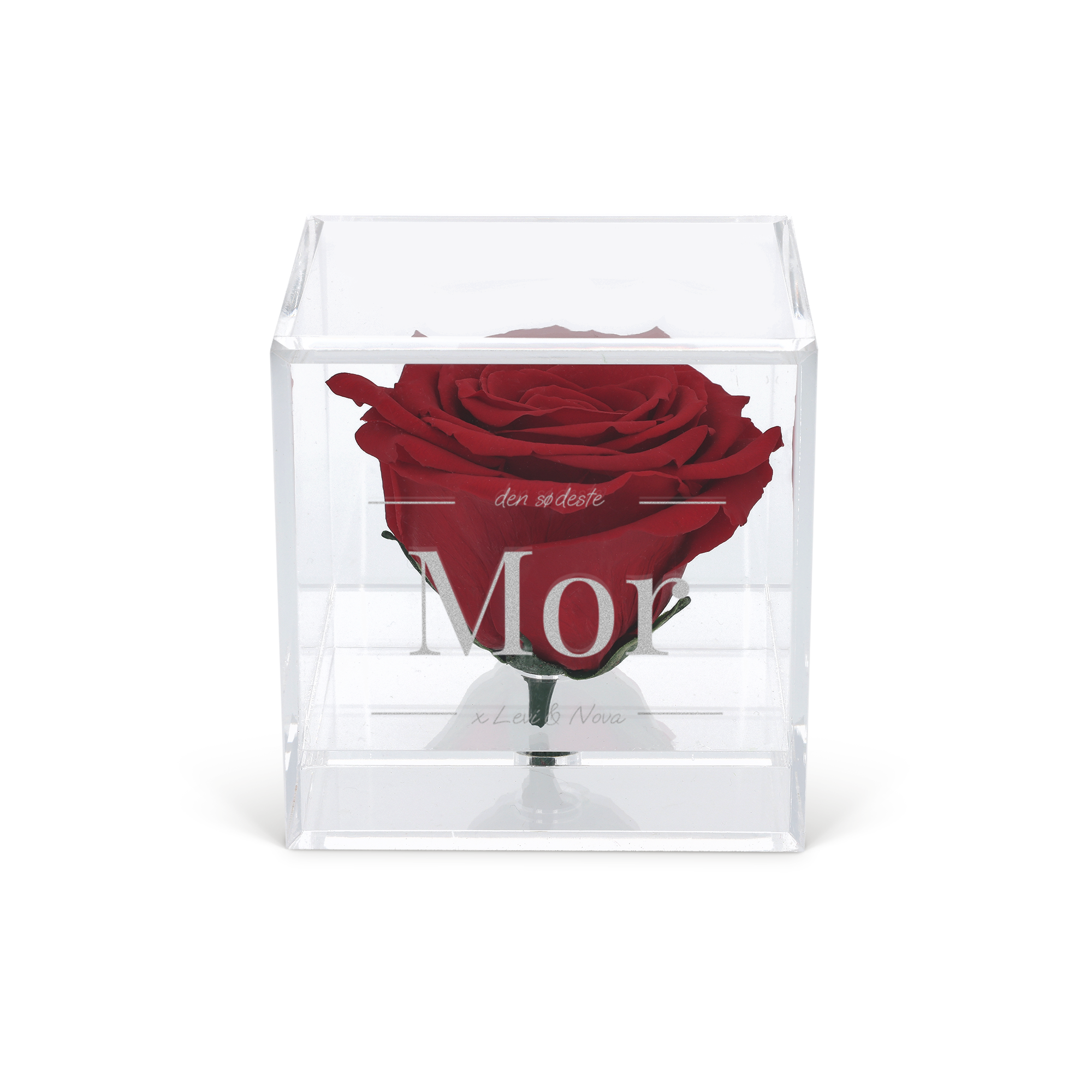 Evig rose i graveret plexiglas-etui