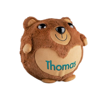 Personalised inflatable bear - Embroidered name