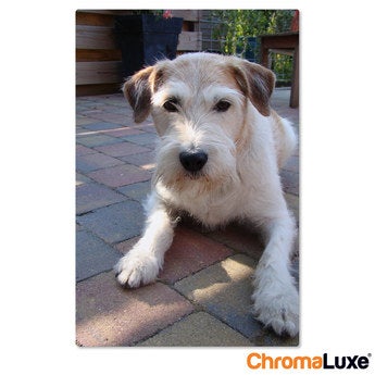 Chromaluxe Aluminium photo - White - 40x60 cm