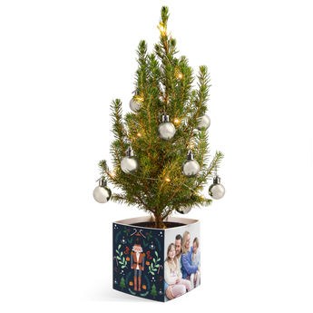 Mini Weihnachtsbaum in personalisiertem Topf