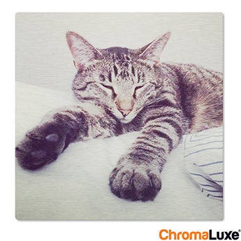 Chromaluxe Aluminium photo - Brushed - 15x15cm