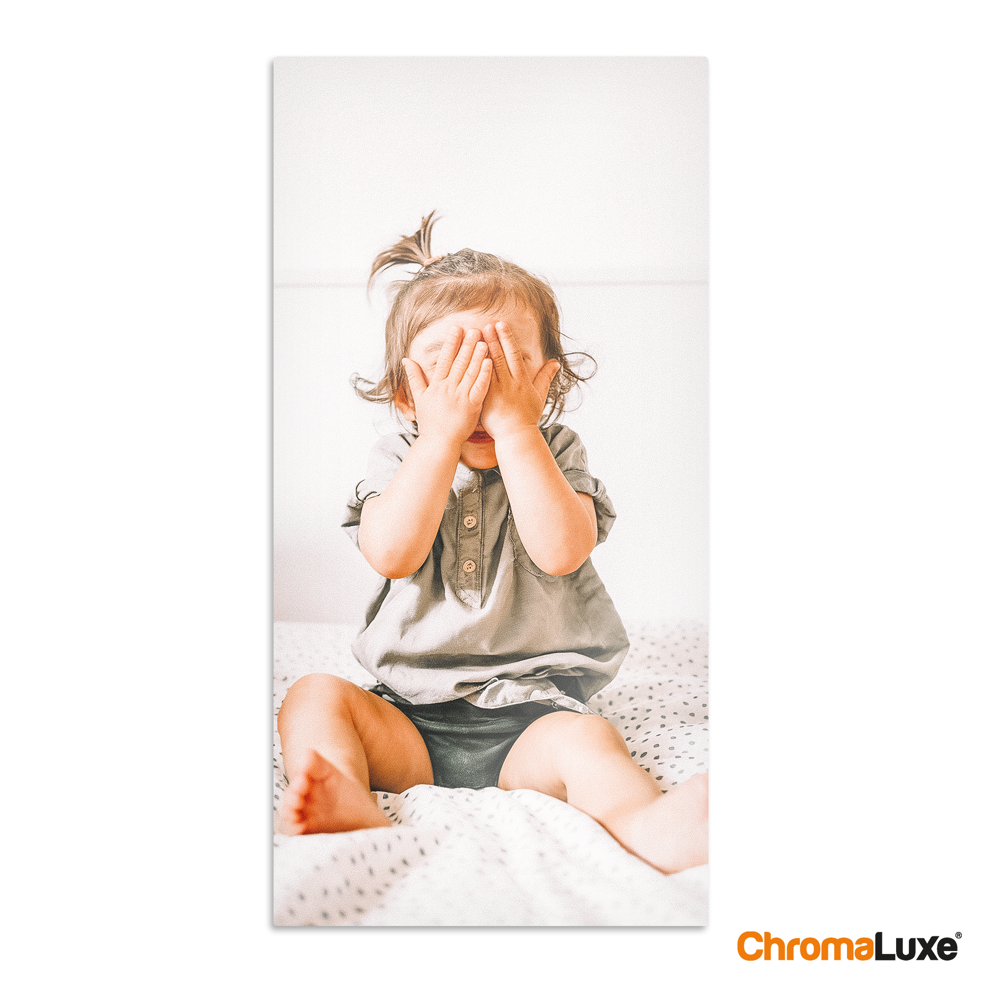 Tableau Photo ChromaLuxe 