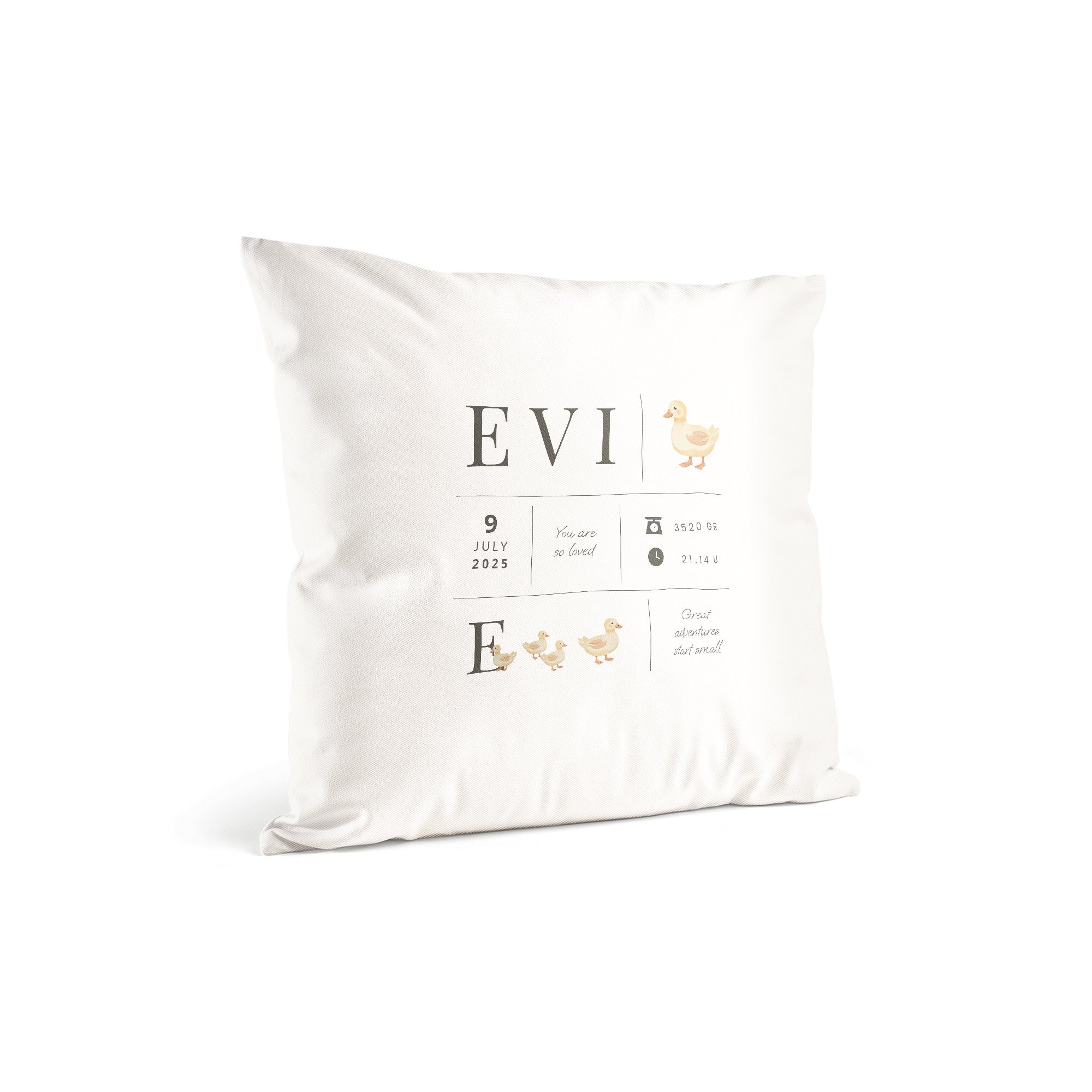 Coussin de naissance bébé personnalisé - 40x40 cm
