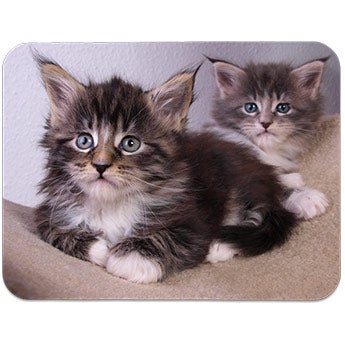 Tapis de souris personnalis&eacute;