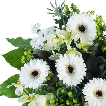 Boeket witte bloemen