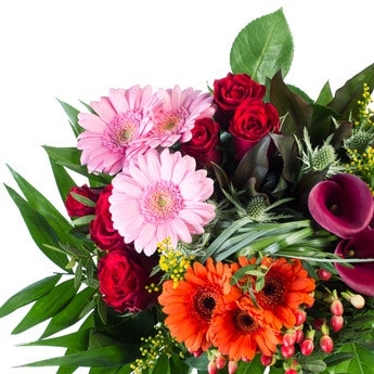 Onwijs Bloemen - De meest verse bloemen met een gratis cadeaukaartje ME-76