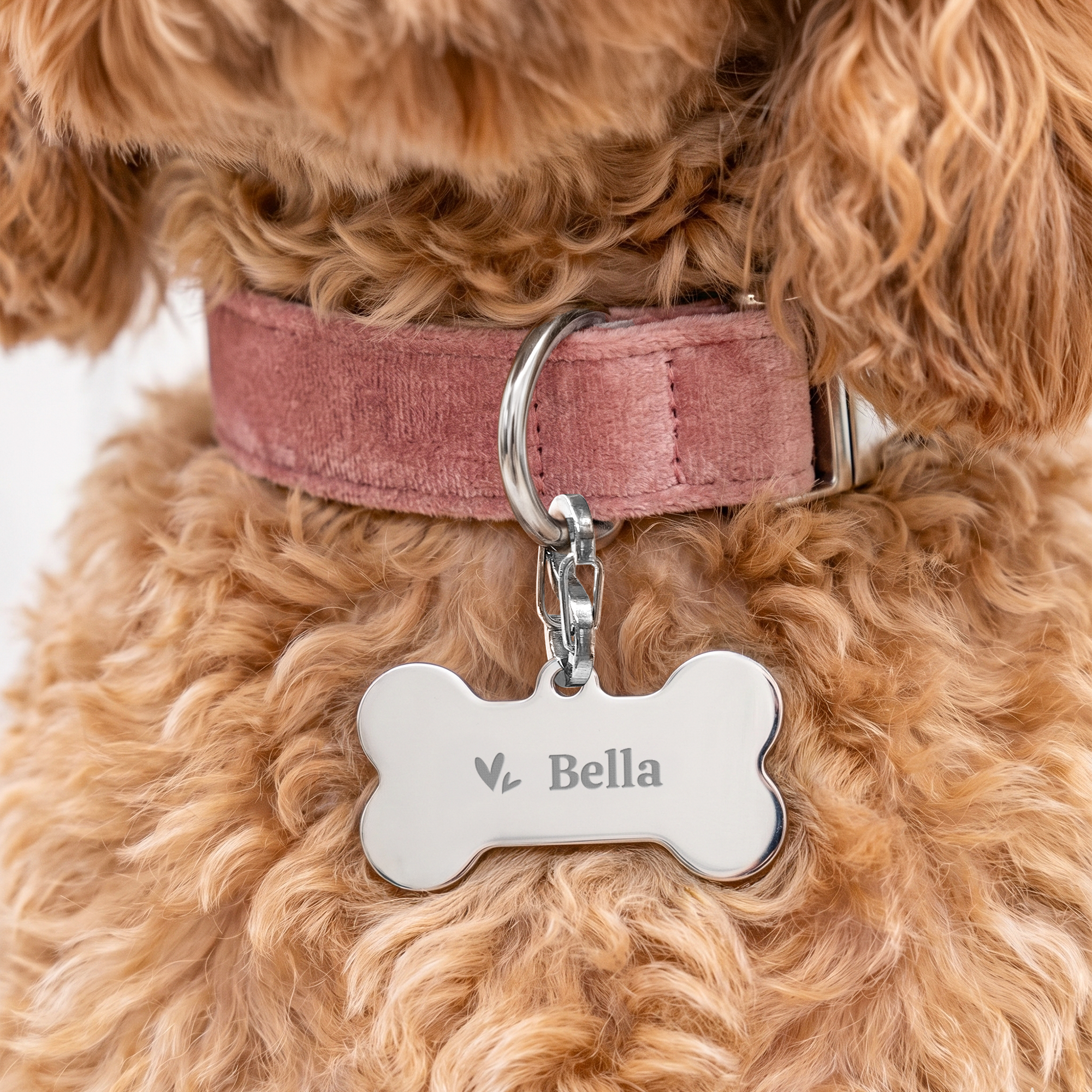 Dog ID tag