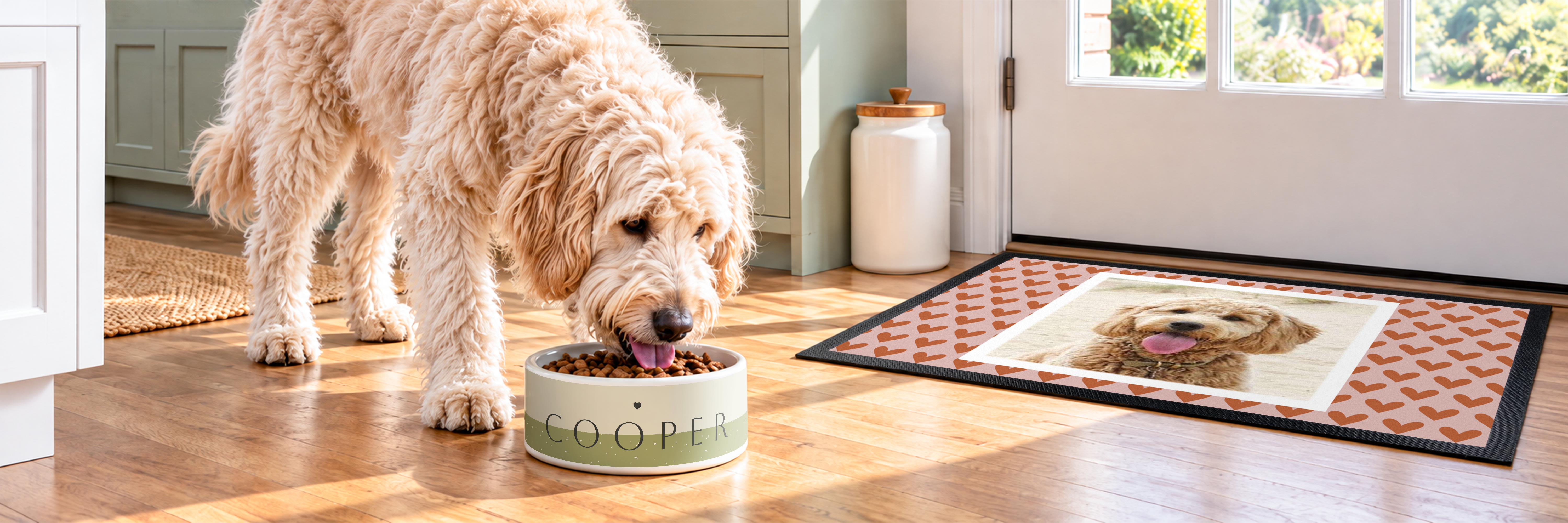 Accessoires pour chiens et chats