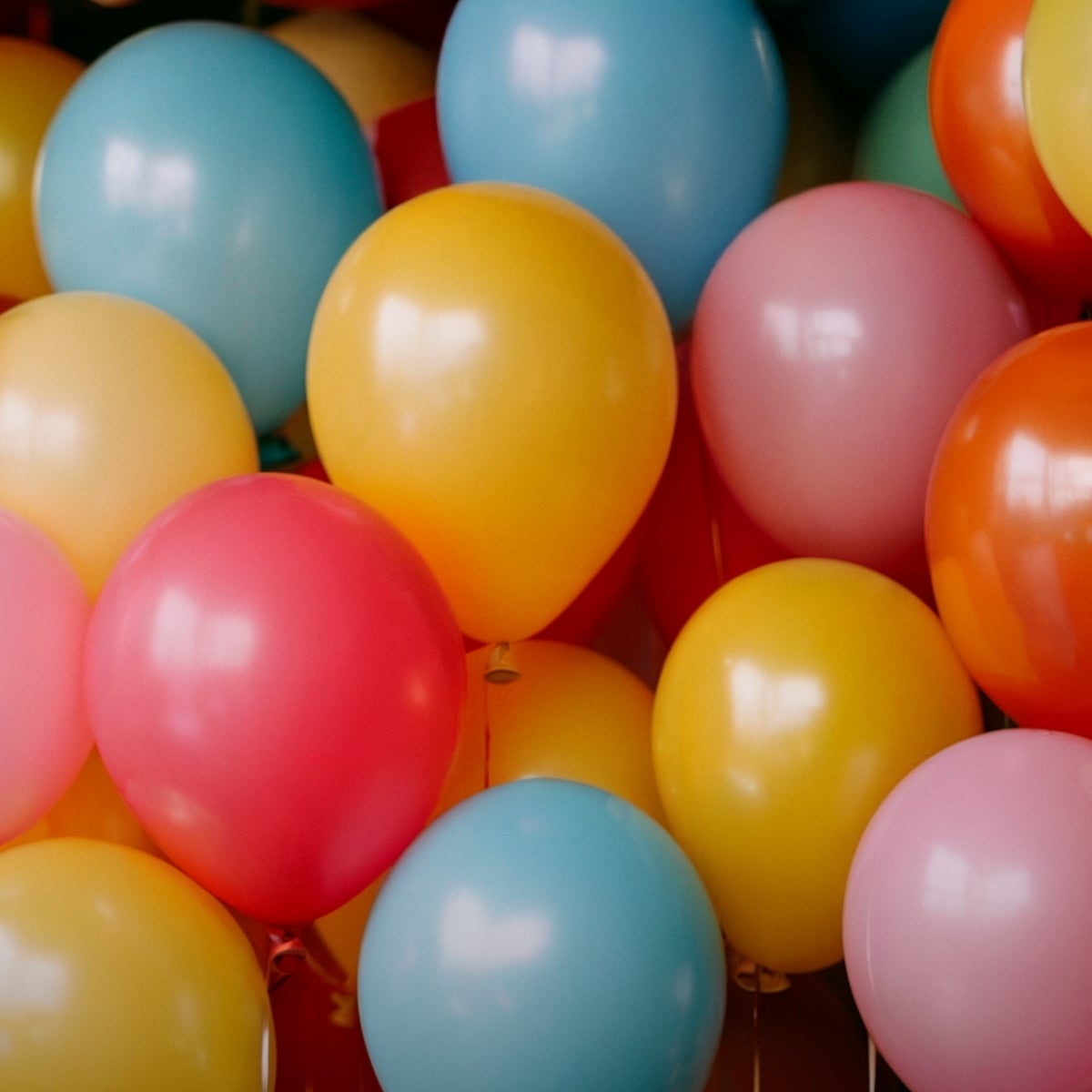 YourSurprise viert 20 jaar