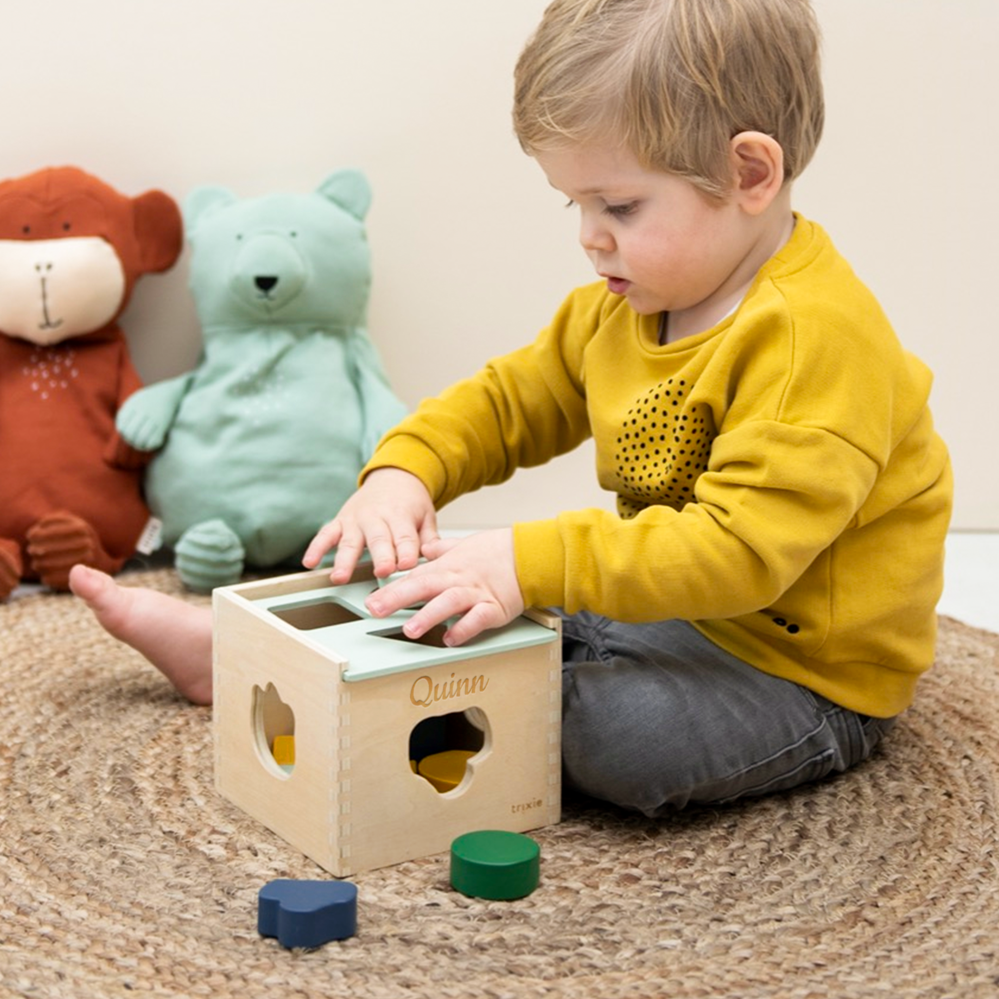Personalised Trixie wooden sorting cube | YourSurprise