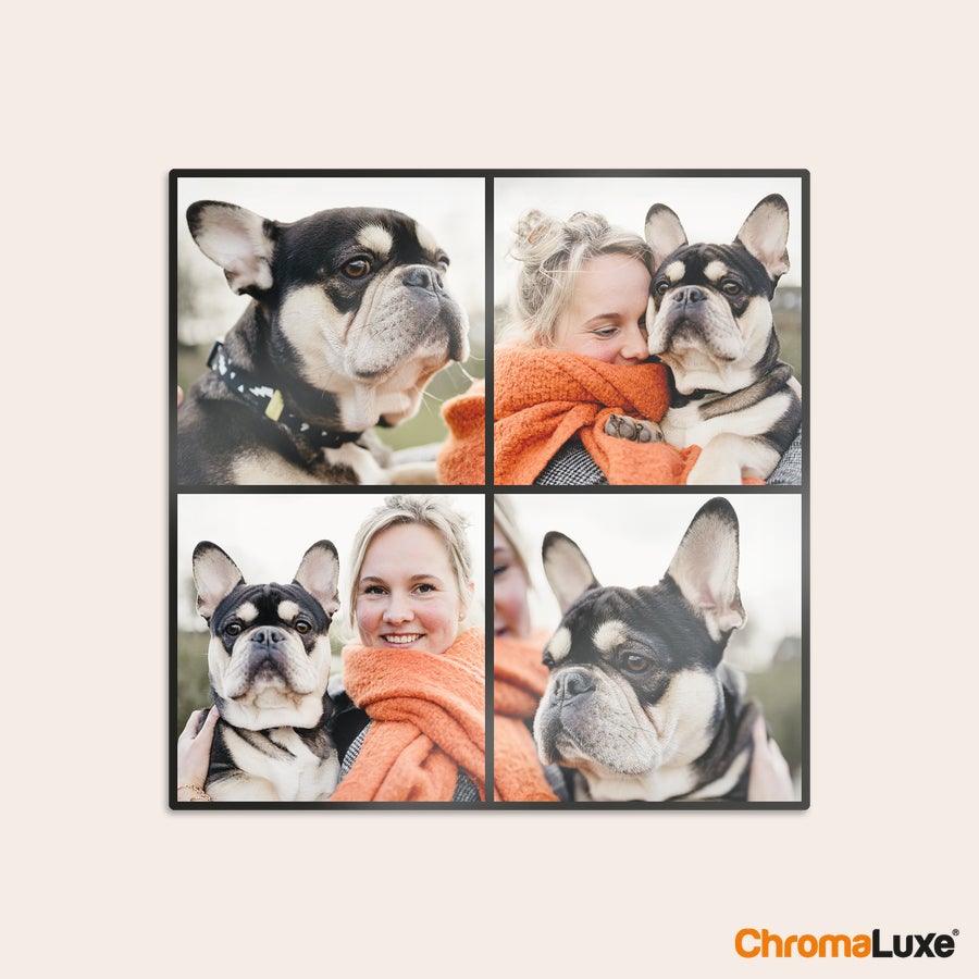 Foto collage op aluminium Aluminium Instacollage met jouw Instafoto's van een vrouw en haar hond, gepersonaliseerd met eigen foto's
