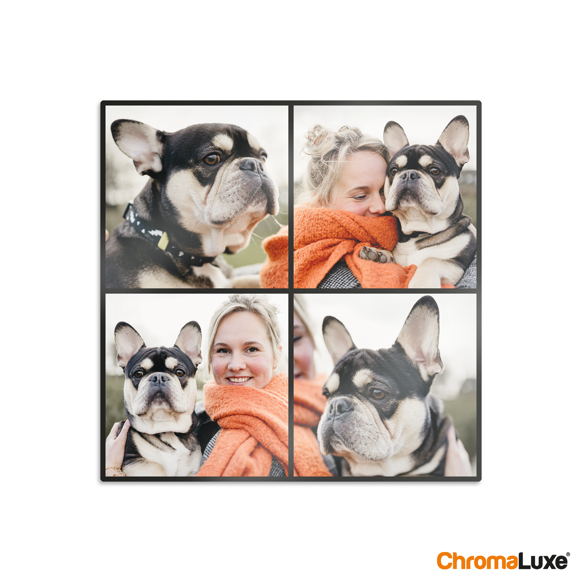 Instagram-fotocollage i aluminium med fire trykte bilder av en kvinne og en hund.