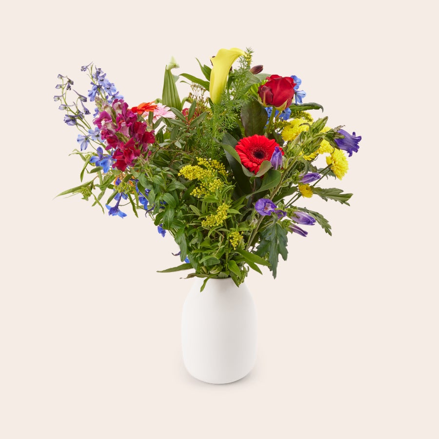 Blumen - Pflückblumen Bunt Bunter Strauß Pflückblumen mit roten, gelben und blauen Blüten in einer weißen Vase, geliefert mit Geschenkkarte