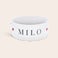 Personalised pet food bowl Personalised pet food bowl