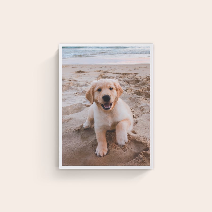 Personalizirano platno Visokokakovostno personalizirano platno, potiskano s fotografijo kužka na plaži.