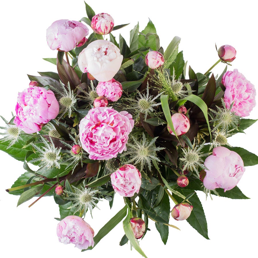 Bloemen - Pioenrozen (Groot)