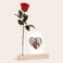 Infinity rose with photo stand Infinity rose with photo stand