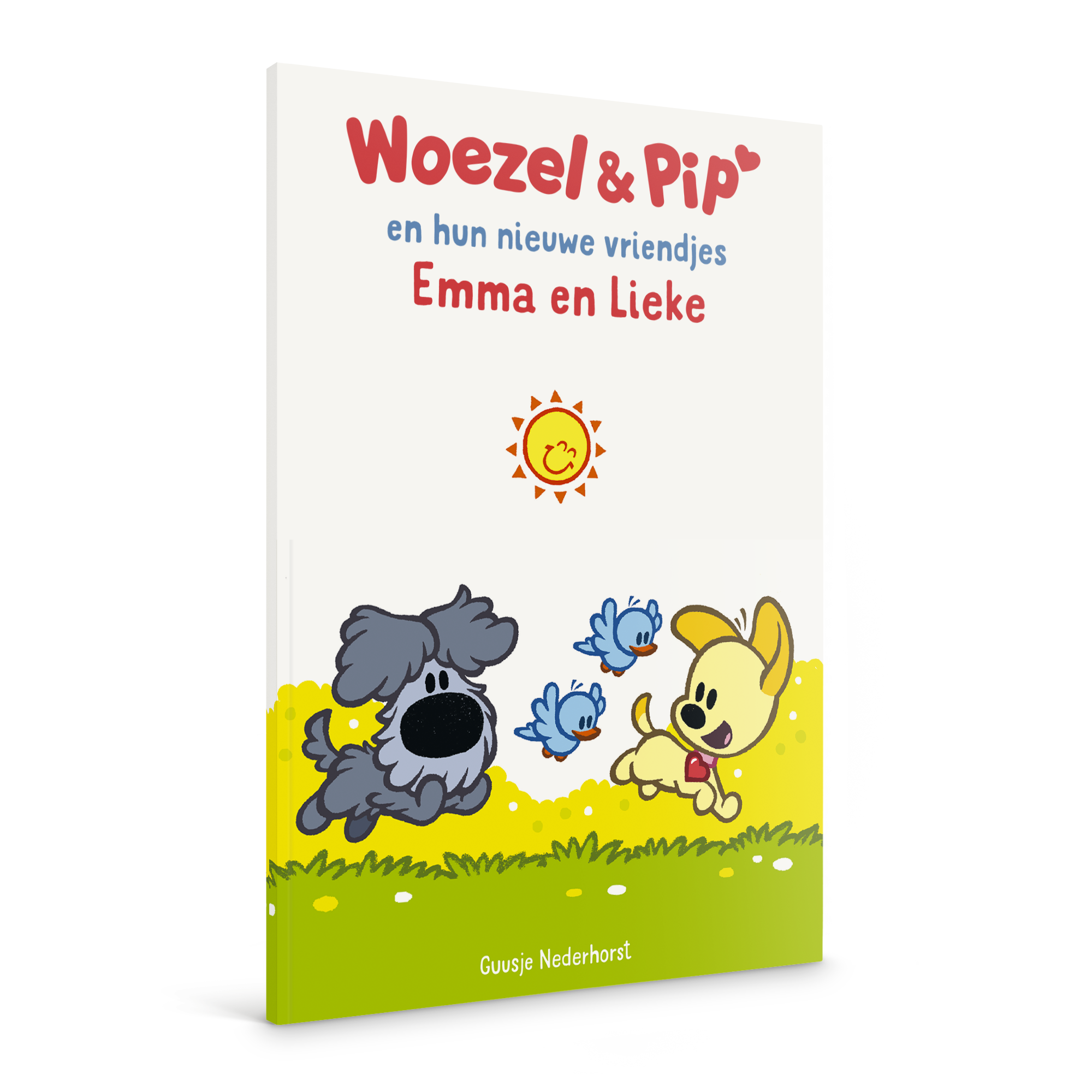 Boek Woezel & Pip tweelingeditie met naam