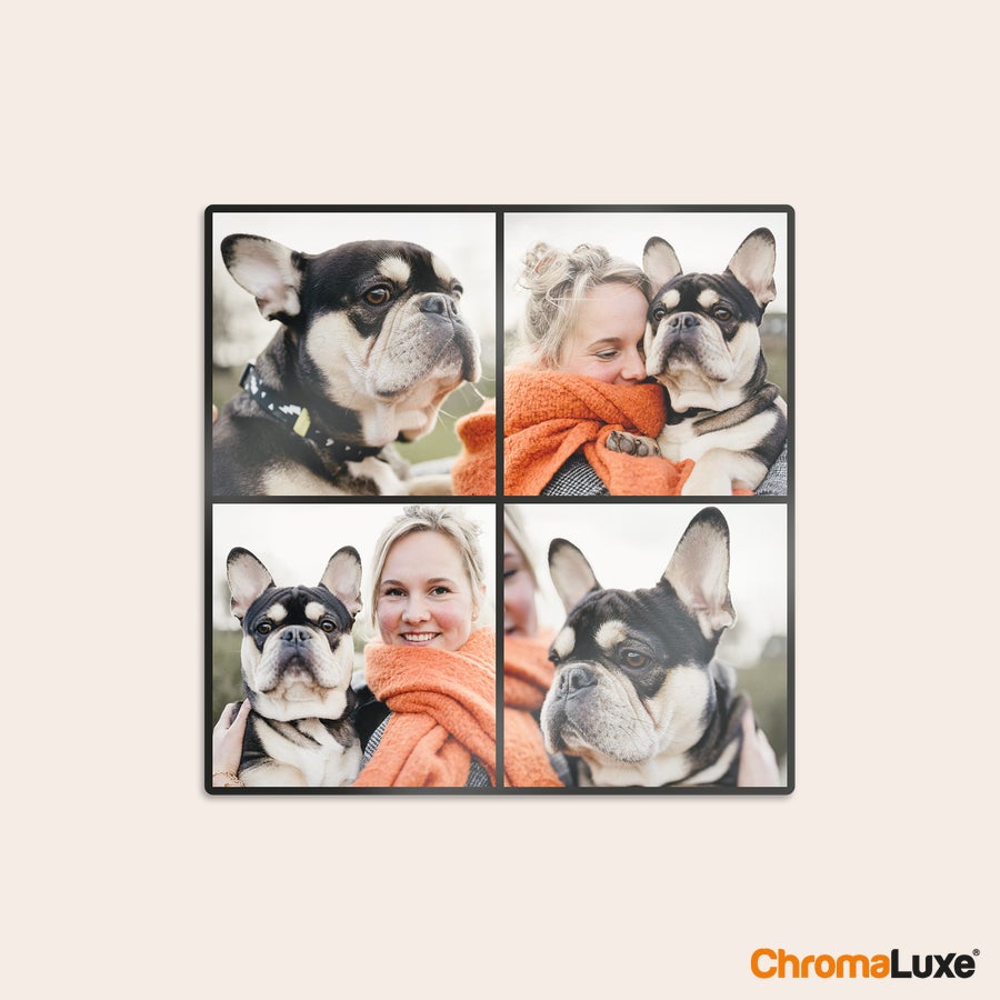 Collage Instagram fotokollasje av aluminium med fire bilder av en kvinne og hennes hund, printet med egne bilder.