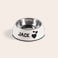 Dog feeding bowl Dog feeding bowl