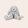 Personalised cuddly toy - Happy Horse - Rabbit Richie Personalised cuddly toy - Happy Horse - Rabbit Richie