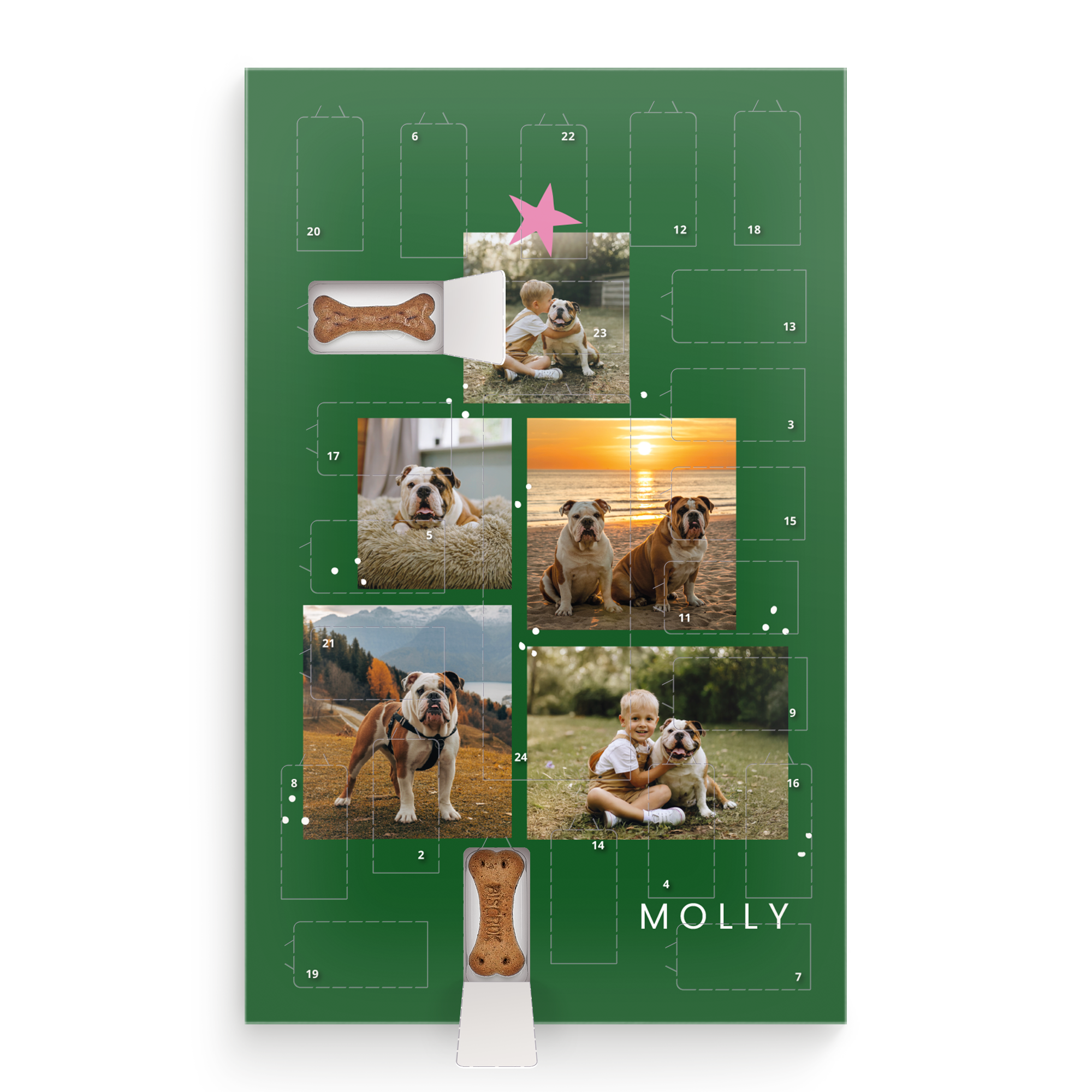 Grön personlig hundadventskalender med hundnamn Molly tryckt och anpassade foton på hundar