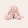Rabbit Richie Bamse med navn - Kanin Rabbit Richie Bamse med navn - Kanin