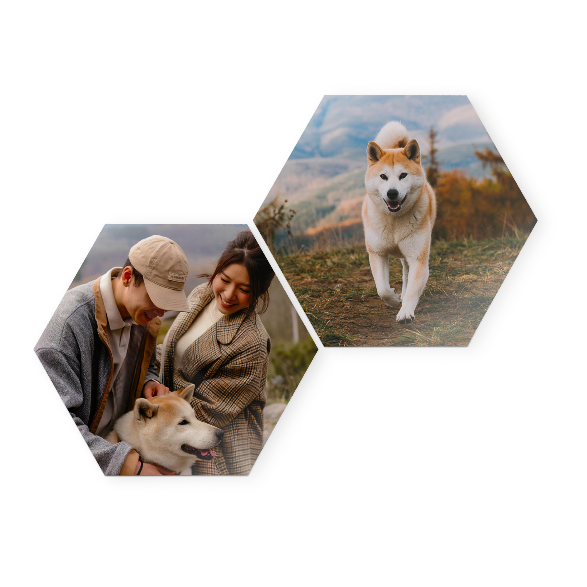 Fotokacheln