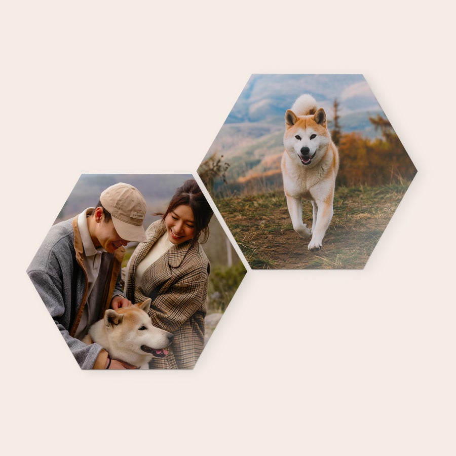 Personlig väggkonstpanel Hexagonformade träväggkonstpaneler med ett tryckt foto av ett par som klappar en hund och en hund som springer