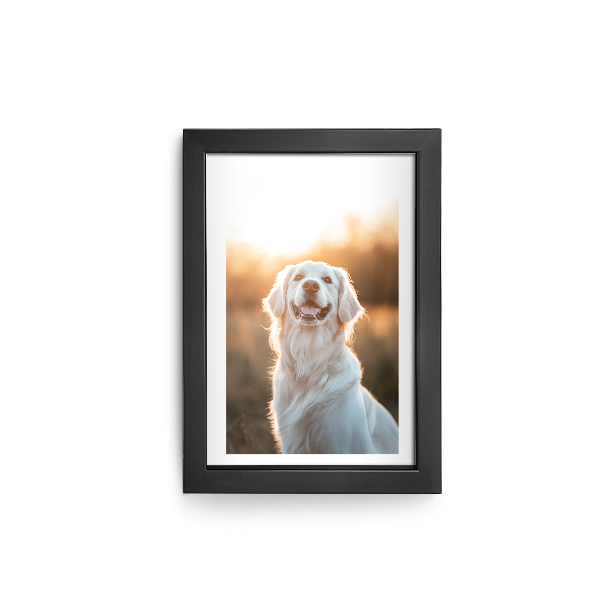 Affiche personnalisée avec photo d'un chien retriever blanc dans un cadre noir à accrocher au mur