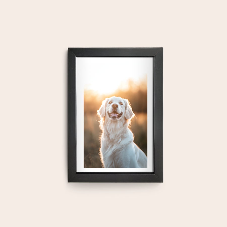 Foto in lijst bestellen Gepersonaliseerde fotoafdruk van een golden retriever met een houten lijst. Hang jouw mooiste fotomoment aan de muur met deze fotoafdruk inclusief leuke houten lijst.