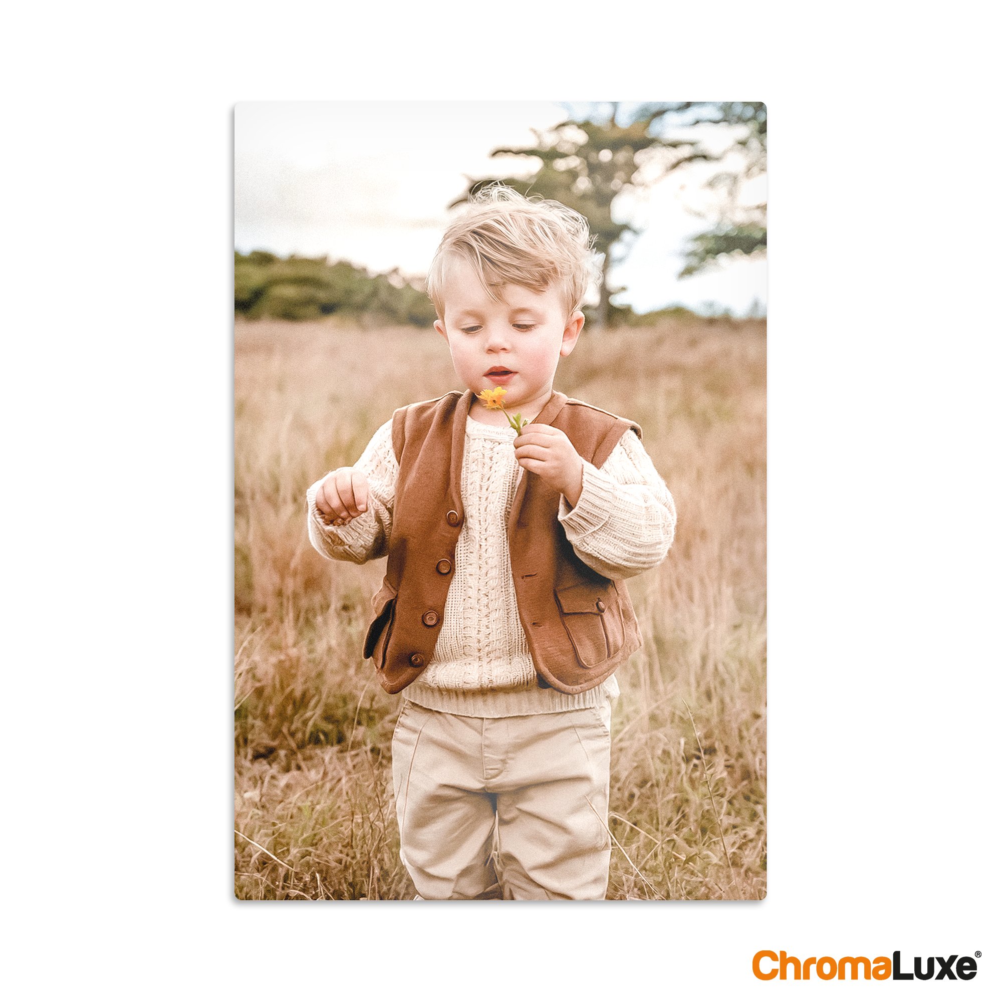 Instacollage aluminium personnalisé avec la photo d'un enfant aux cheveux blonds tenant une fleur jaune dans un champ