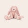 Rabbit Richie Bamse med navn - Kanin Rabbit Richie Bamse med navn - Kanin