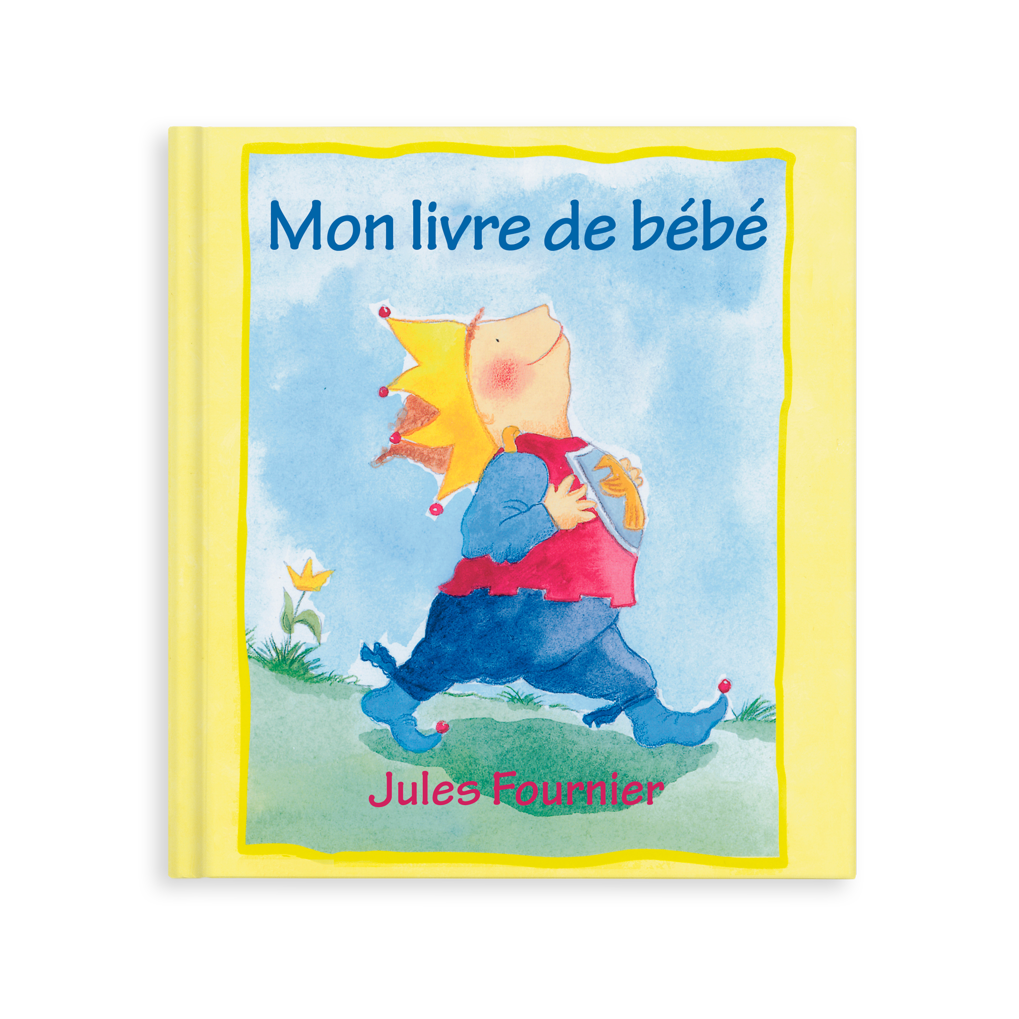 Mon livre de bébé - Livre personnalisé