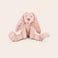 Rabbit Richie Bamse med navn - Kanin Rabbit Richie Bamse med navn - Kanin