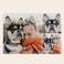 Puzzel met foto groot Puzzel met foto groot
