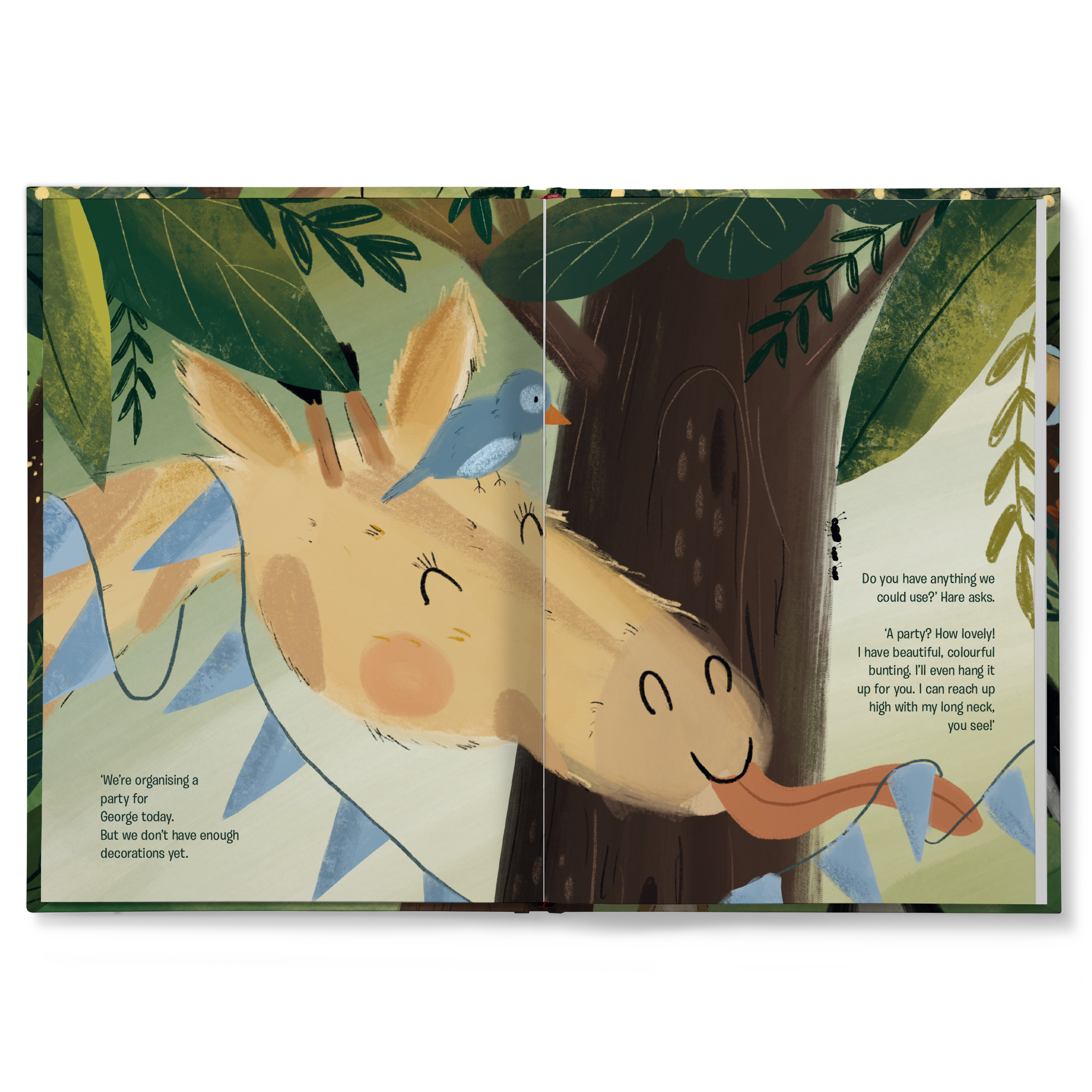 Personalised book - The Big Party Book