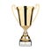 Personalised Trophy – Gold