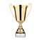 Trophy – Gold